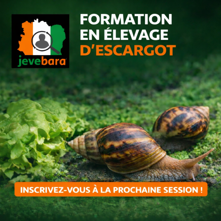 Deviens Expert en élevage d'escargot