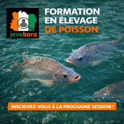 Deviens Expert en élevage de poisson