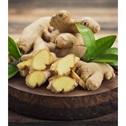 Gingembre frais