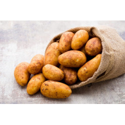 Pommes de terre