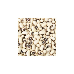 Haricot blanc