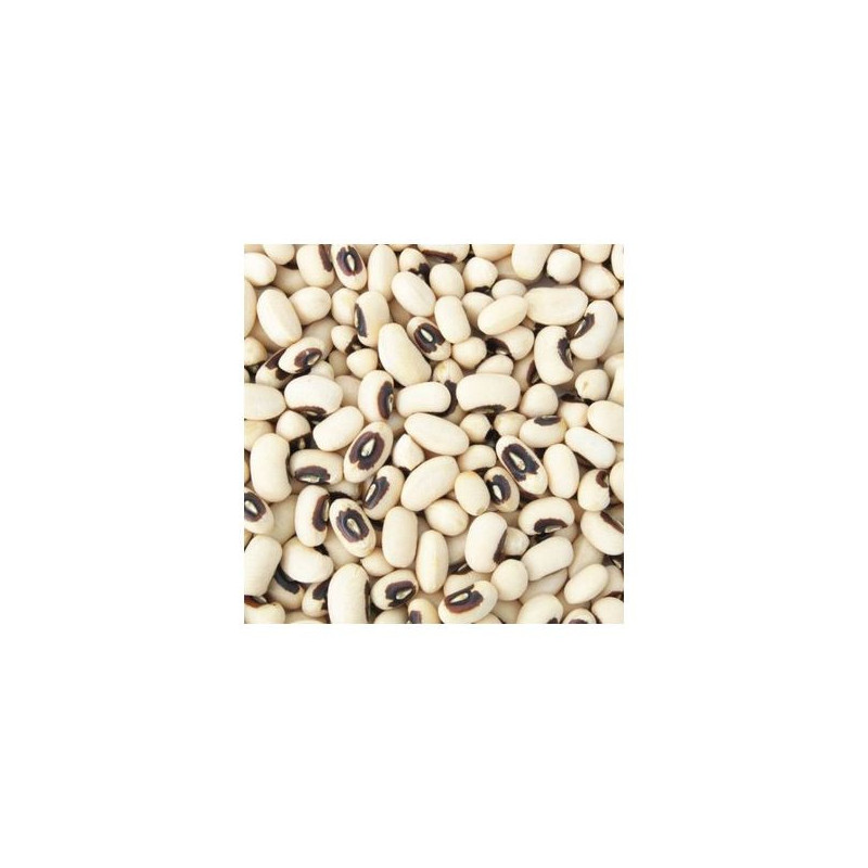Haricot blanc