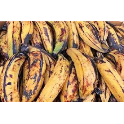 Banane Plantain