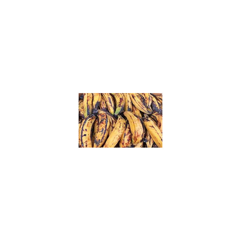 Banane Plantain