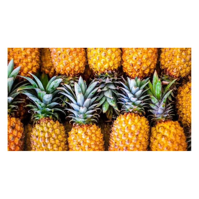Ananas frais