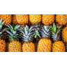 Ananas frais