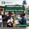 Formation en Cuniculture