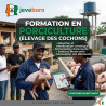Formation en porciculture