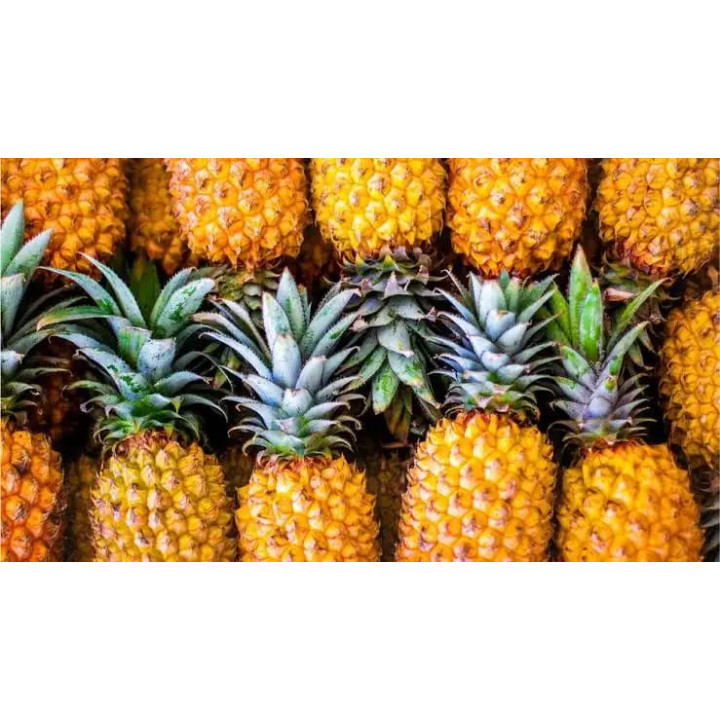 Ananas frais