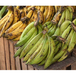 Banane Plantain