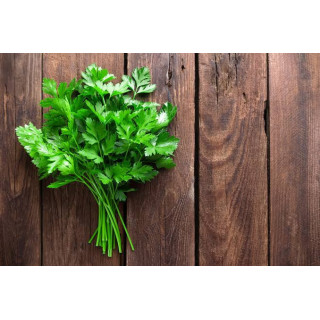 Persil frais