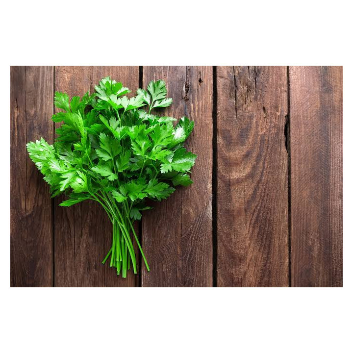 Persil frais