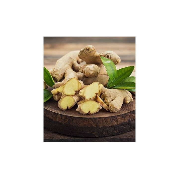 Gingembre frais